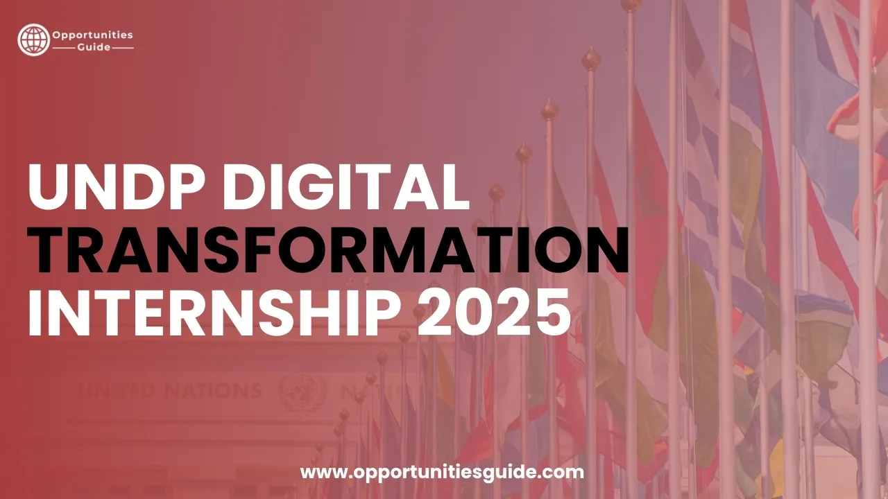 UNDP Digital Transformation Internship 2025
