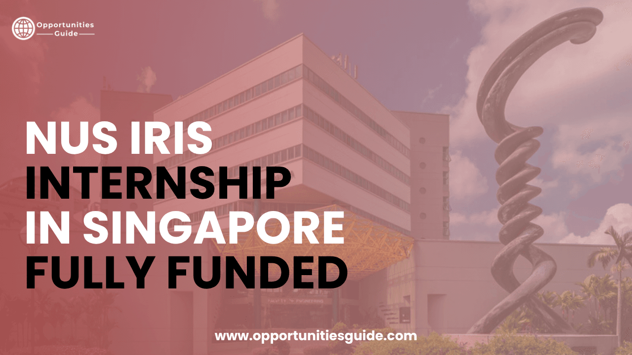 NUS IRIS Internship 2027 in Singapore | Fully Funded