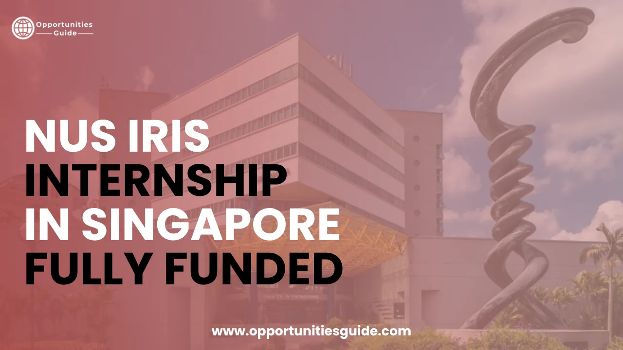 NUS IRIS Internship 2027 in Singapore | Fully Funded